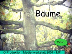 Präsentation-Bäume.pdf